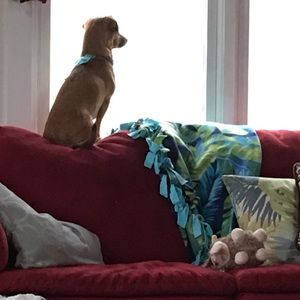 Meet your Posher, Sue